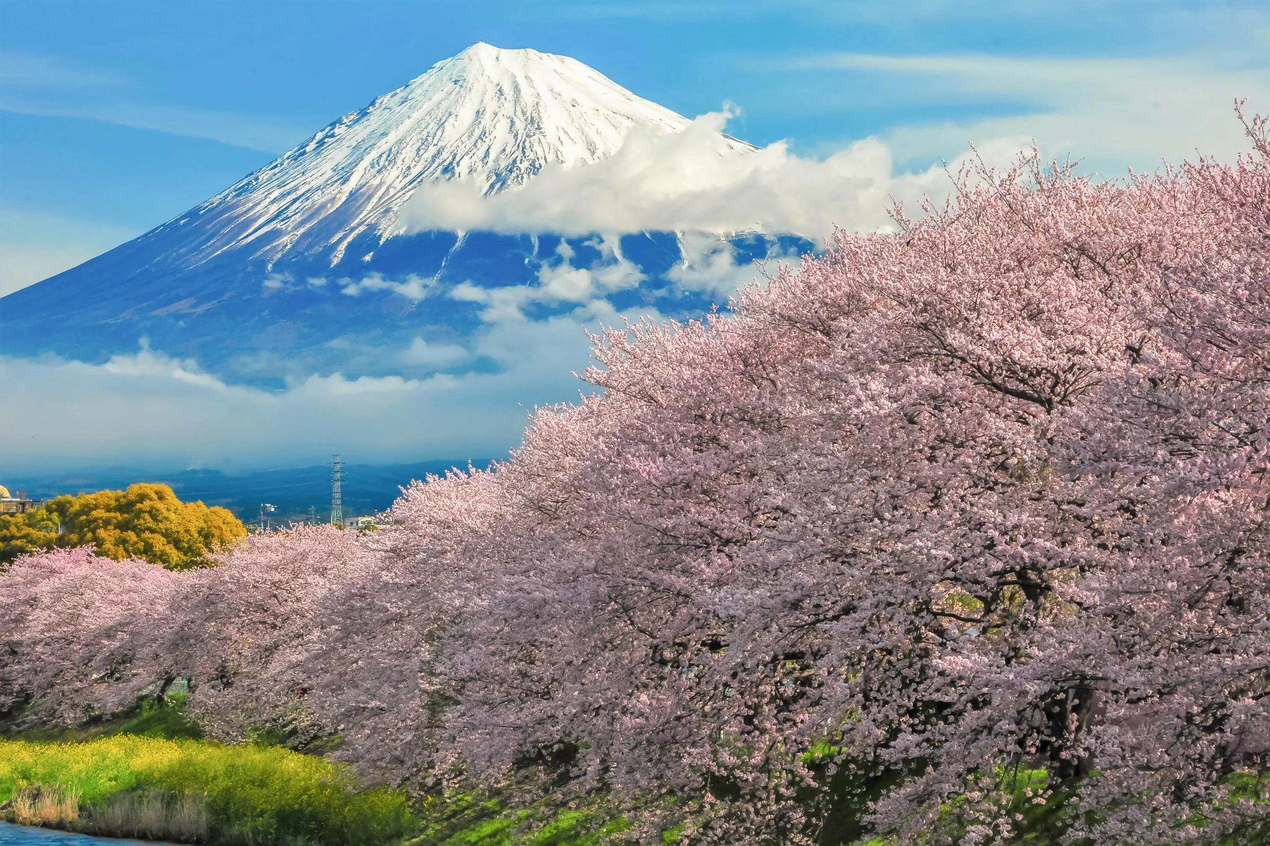 Mt. Fuji